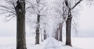 Winder Driving, Detroit, MI, Pat Milliken Ford