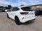 2024 Ford Escape ST-Line Elite